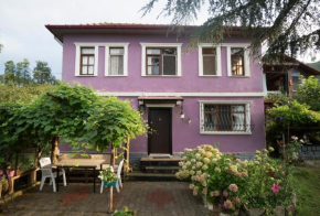 Отель Villa Banizo Great Black Sea View Village House  Pazarkapı